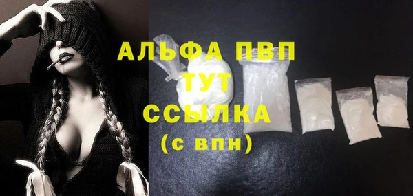 ECSTASY Кукмор