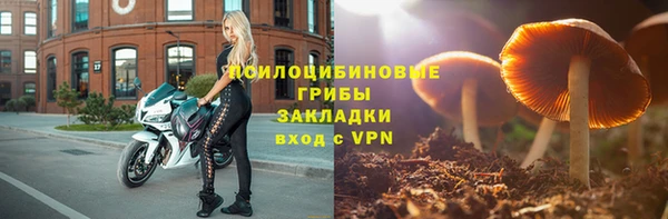 ECSTASY Кукмор