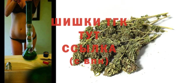 ECSTASY Кукмор