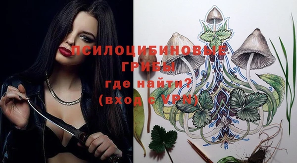дмт Кулебаки