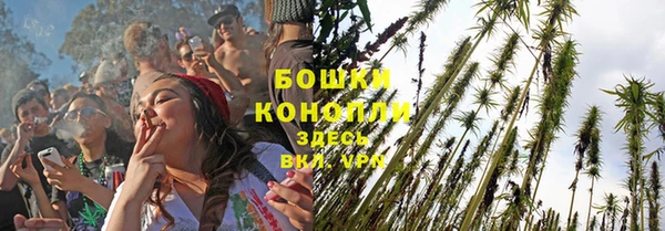 ECSTASY Кукмор