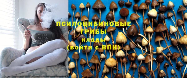 дмт Кулебаки