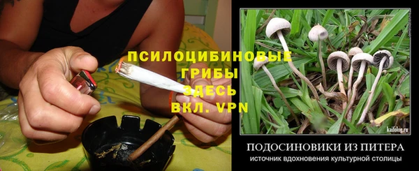 дмт Кулебаки