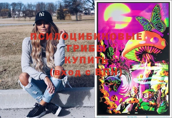 дмт Кулебаки