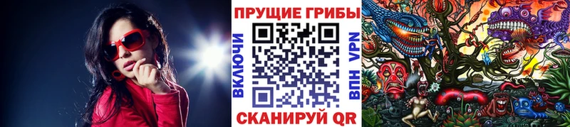 Купить  Кораблино  Галлюциногенные грибы ЛСД 